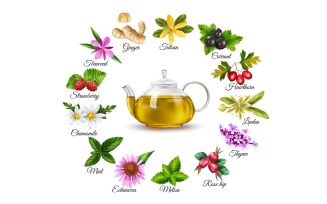 Realistic Herbal Green Tea 200830524 Vector Illustration Concept