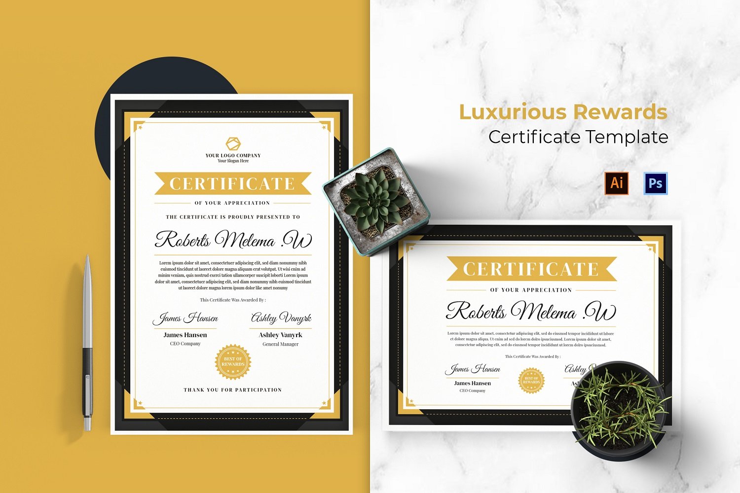 Kit Graphique #210735 Certificate Prix Divers Modles Web - Logo template Preview