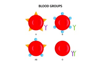 Blood Type 201250403 Vector Illustration Concept