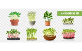 Realistic Healthy Nutrition Microgreens Transparent Set 200730517 Vector Illustration Concept