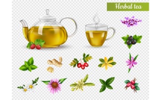 Realistic Herbal Green Tea Transparent Set 200830523 Vector Illustration Concept