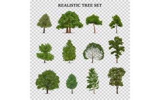 Realistic Tree Transparent Set 210130504 Vector Illustration Concept