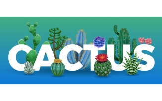 Cactus Letters Illustration 200900338 Vector Illustration Concept