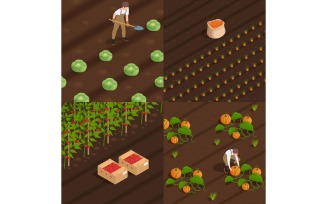 Harvesting People Isometric Composition 200710130 Vector Illustration Concept