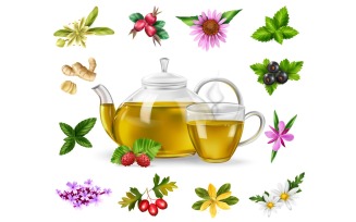 Realistic Herbal Green Tea Set 200830522 Vector Illustration Concept