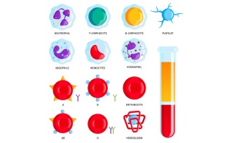 Blood Cells Set 201250401 Vector Illustration Concept