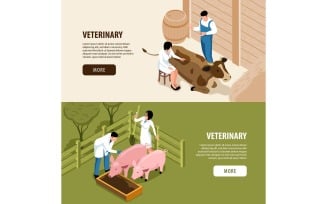 Isometric Veterinary Banners 210110514 Vector Illustration Concept