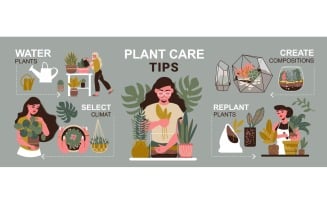 Home Plants Infographics 210160533 Vector Illustration Concept