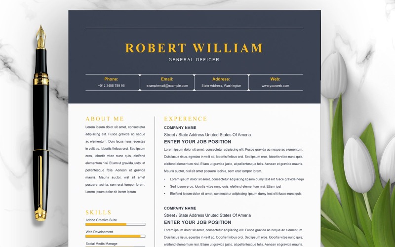 Robert William / CV Template Resume Template