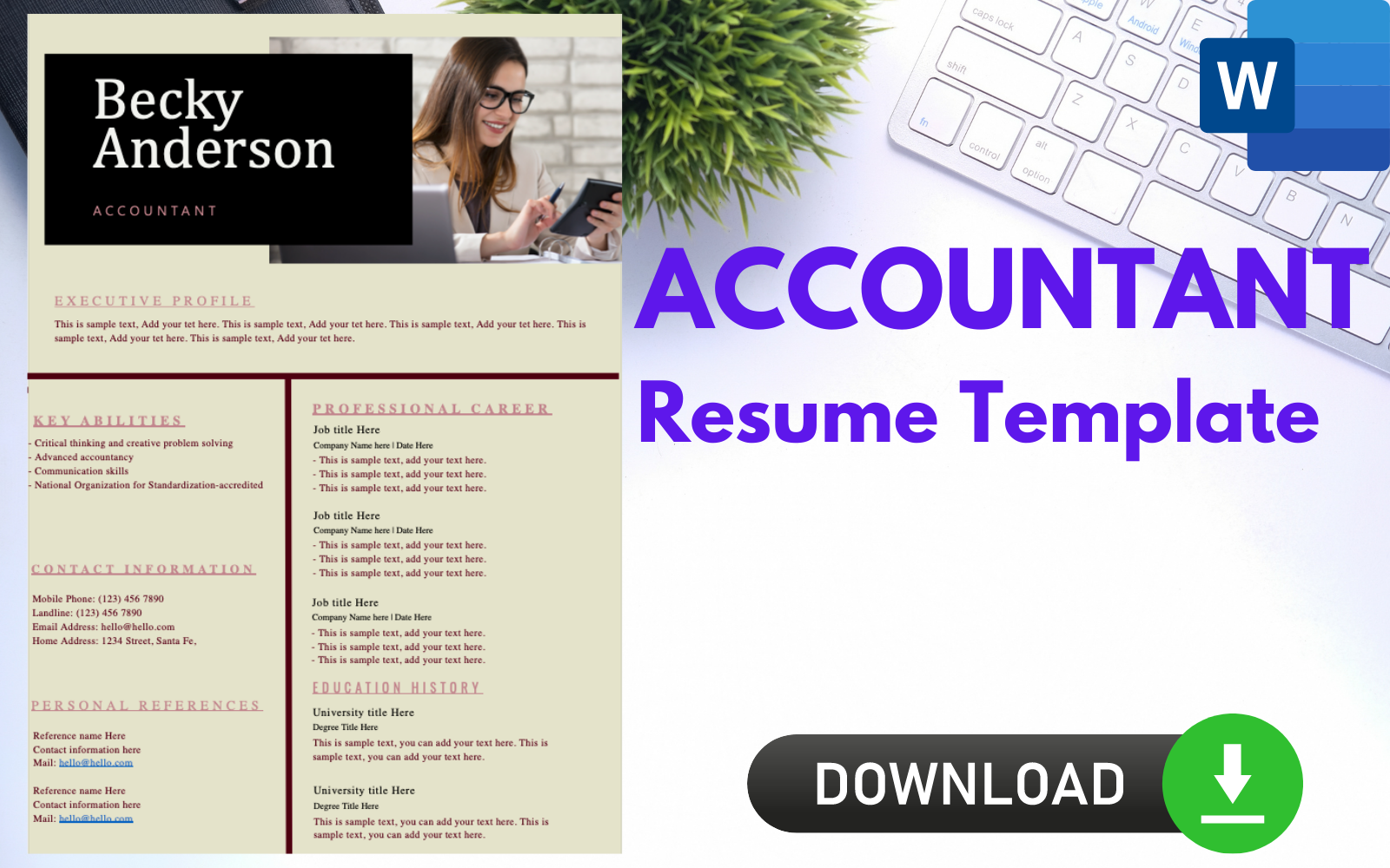 Professional Resume Template for ACCOUNTANTS