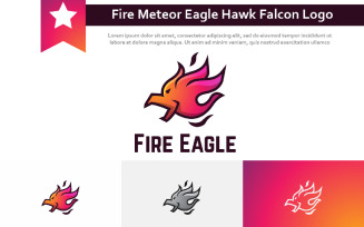 Fire Flame Comet Meteor Burn Eagle Hawk Falcon Logo
