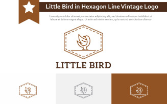 Little Cute Bird in Hexagon Line Animal Vintage Logo
