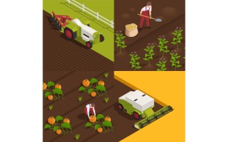 Harvesting People Isometric Composition 200710129 Vector Illustration Concept