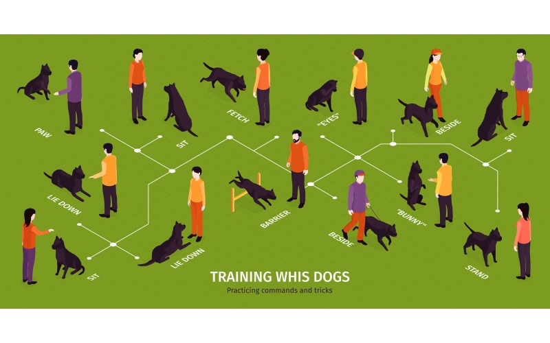 Isometric Dog Training Infographics 201150404 Vector Illustration Concept