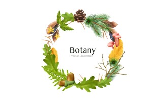 Realistic Botanical Forest Wreath Frame 201230526 Vector Illustration Concept