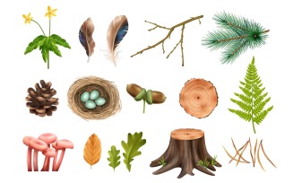 Realistic Botanical Wooden Forest Set 201230524 Vector Illustration Concept