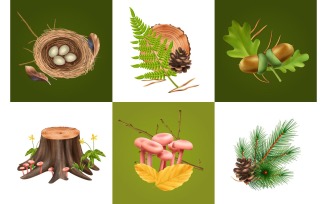 Realistic Botanical Design Concept 201230530 Vector Illustration Concept