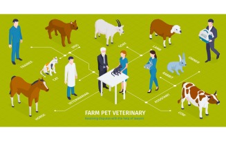 Isometric Veterinary Infographics 201050410 Vector Illustration Concept