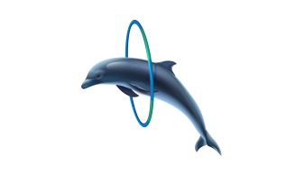 Jumping Dolphin Realistic 201021132 Vector Illustration Concept