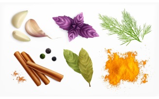 Spices And Herbs Realistic Set 201030908 Vector Illustration Concept