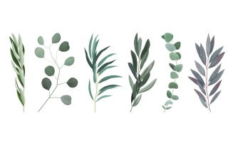 Realistic Eucalyptus Leaf Branches Set 200902912 Vector Illustration Concept