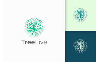 Circle Tree Logo with Root
