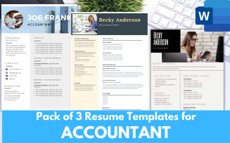 Pack of 3 Resume Templates for ACCOUNTANTS - MS word CV RESUME FORMAT