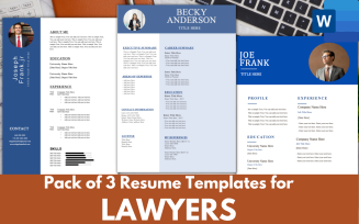 Pack of 3 Resume Templates for LAWYERS - MS word CV RESUME FORMAT