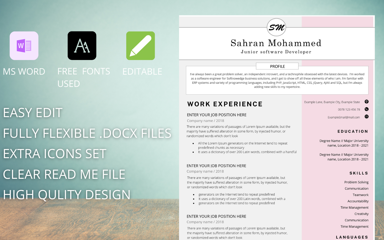 Designer Pro - Resume Template