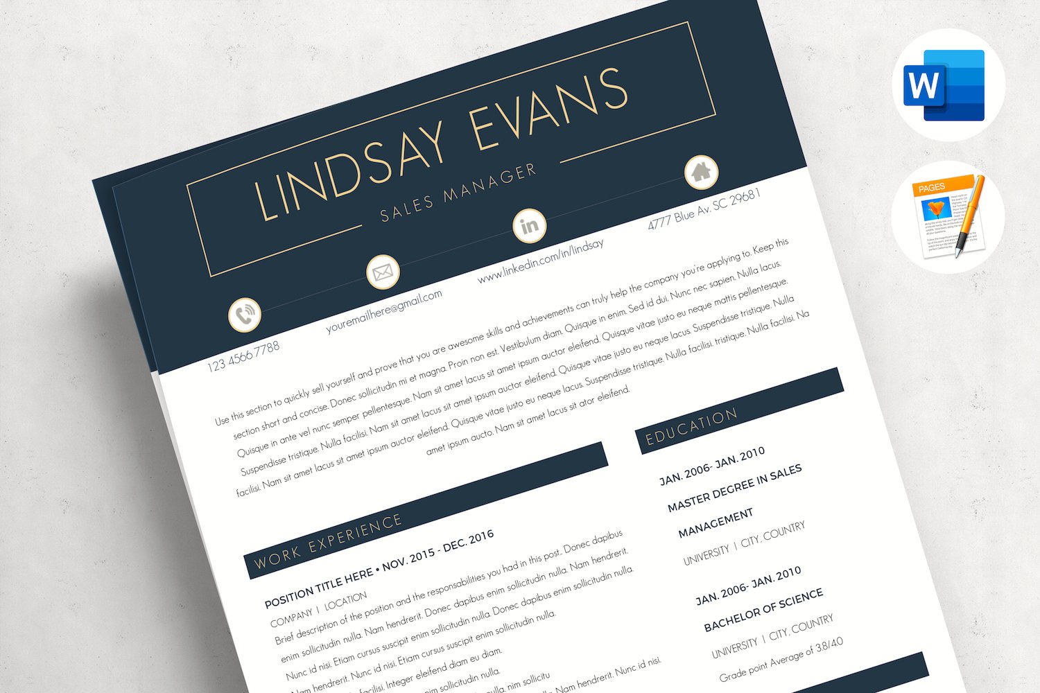 Kit Graphique #216007 Professional Resume Divers Modles Web - Logo template Preview