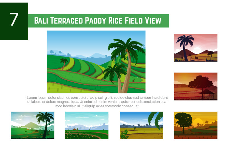 7 Bali Terraced Paddy Rice Field View Illustration