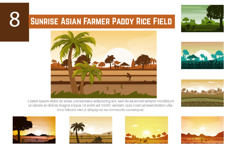 8 Sunrise Asian Farmer Paddy Rice Field Illustration