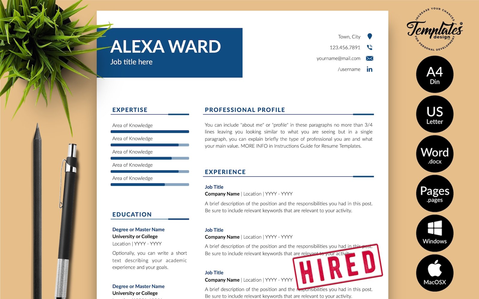 Template #216632 Resume Accountant Webdesign Template - Logo template Preview