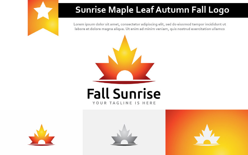 Beautiful Sunrise Maple Leaf Autumn Fall Season Nature Logo Logo Template