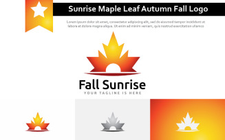 Beautiful Sunrise Maple Leaf Autumn Fall Season Nature Logo