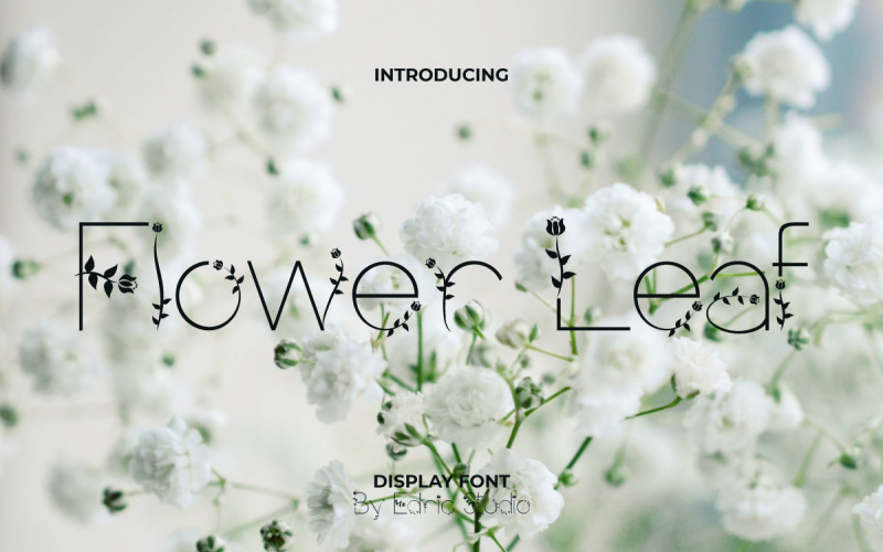 Flower Leaf Decorative Font