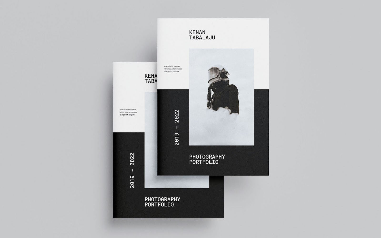 Template #219591   Webdesign Template - Logo template Preview