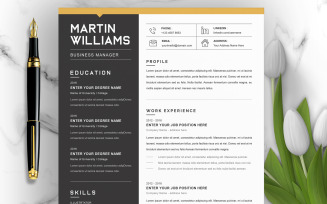Martin / Professional CV Template