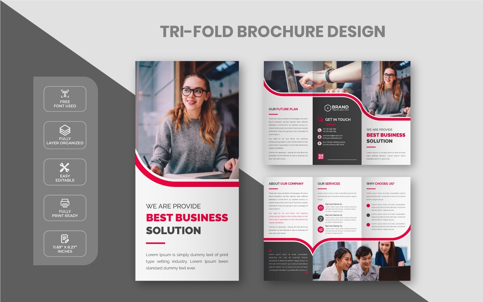 Template #220244 Trifold Brochure Webdesign Template - Logo template Preview