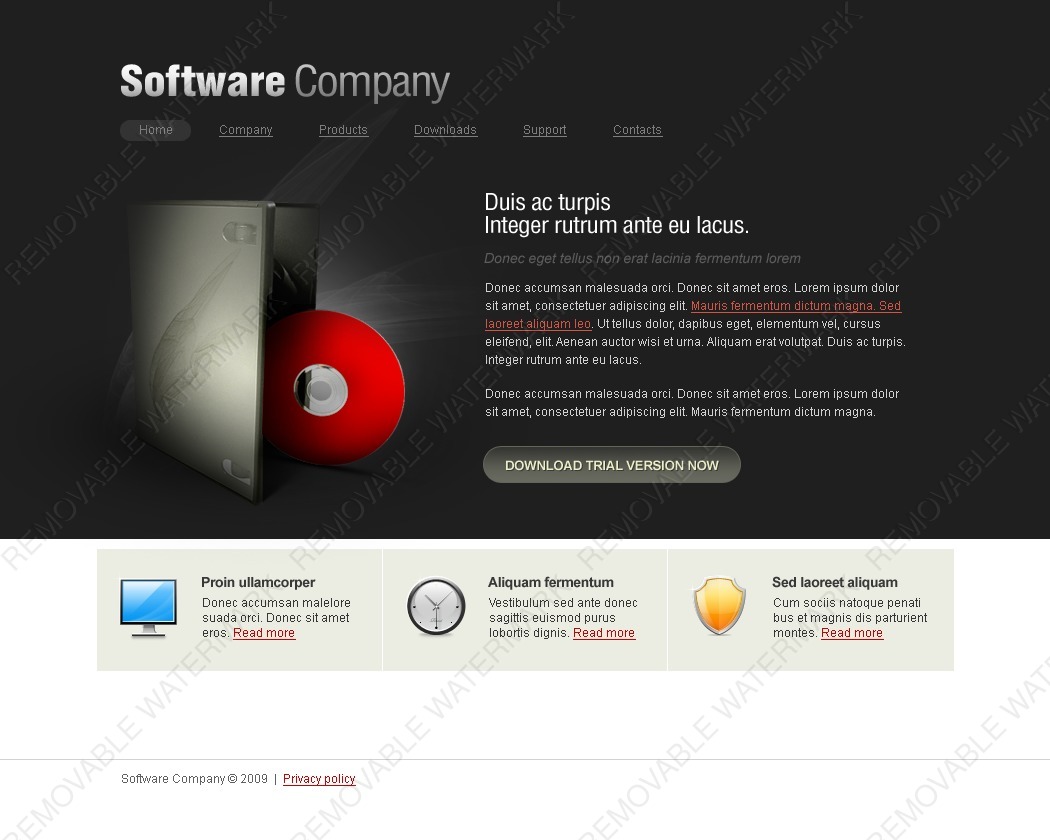 Software Company Website Template #22144 by WT Website Templates