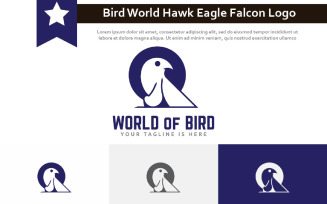 Bird World Nature Hawk Eagle Falcon Predator Logo Template
