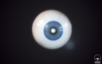 Eyeball Realistic 3dModel