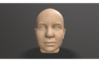 Male Head Sculpt 3D Model