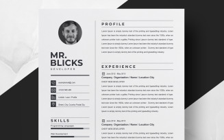 Mr. Blicks / Clean Resume Template