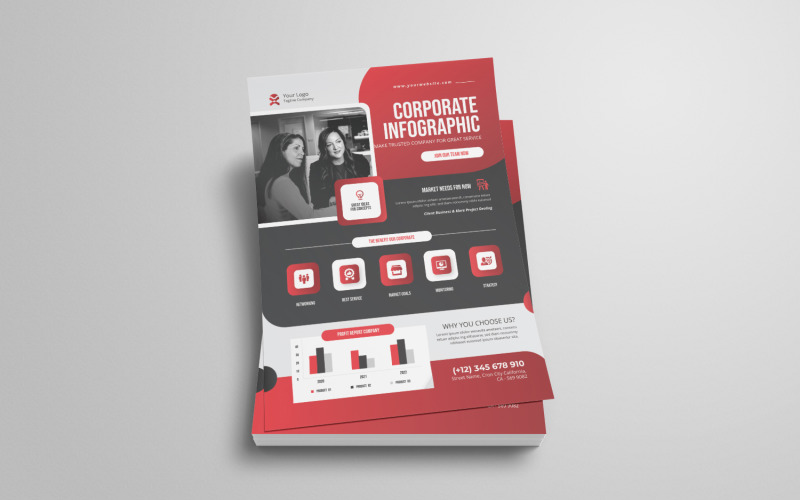Corporate Infographic Flyer Corporate Identity