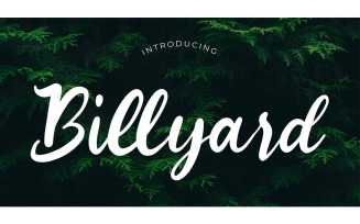 Billyard Modern Script Font - Billyard Modern Script Font