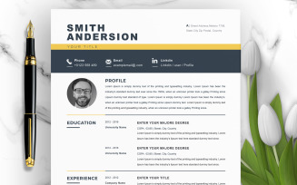 Anderson / Professional Resume