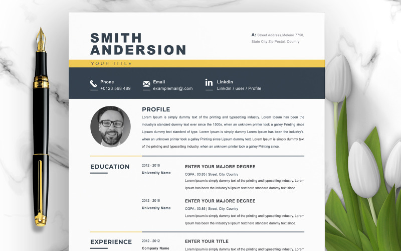 Anderson / Professional Resume Resume Template