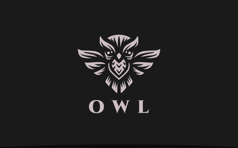 Simple Secure Owl Logo Template