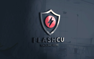 Professional Flash Secure Logo
